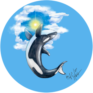 Cosmic Whale Pod Sequim, K12, Southern Resident Orca, Pacific Northwest