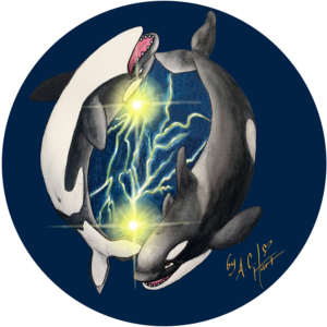 Cosmic Whale Pod Lapis Lazuli, L103, Southern Resident Orca, Pacific Northwest