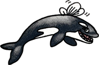 Southern Resident Orca