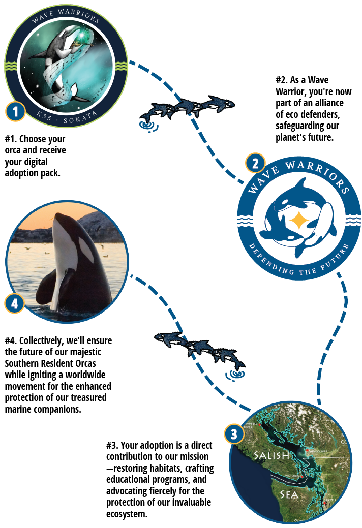 4 easy steps to adopt an orca